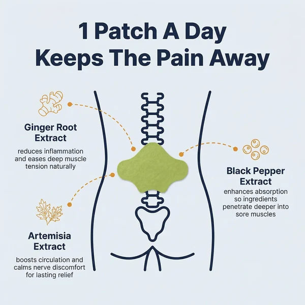 12x Back Pain Relief Patches