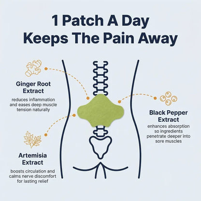 12x Back Pain Relief Patches