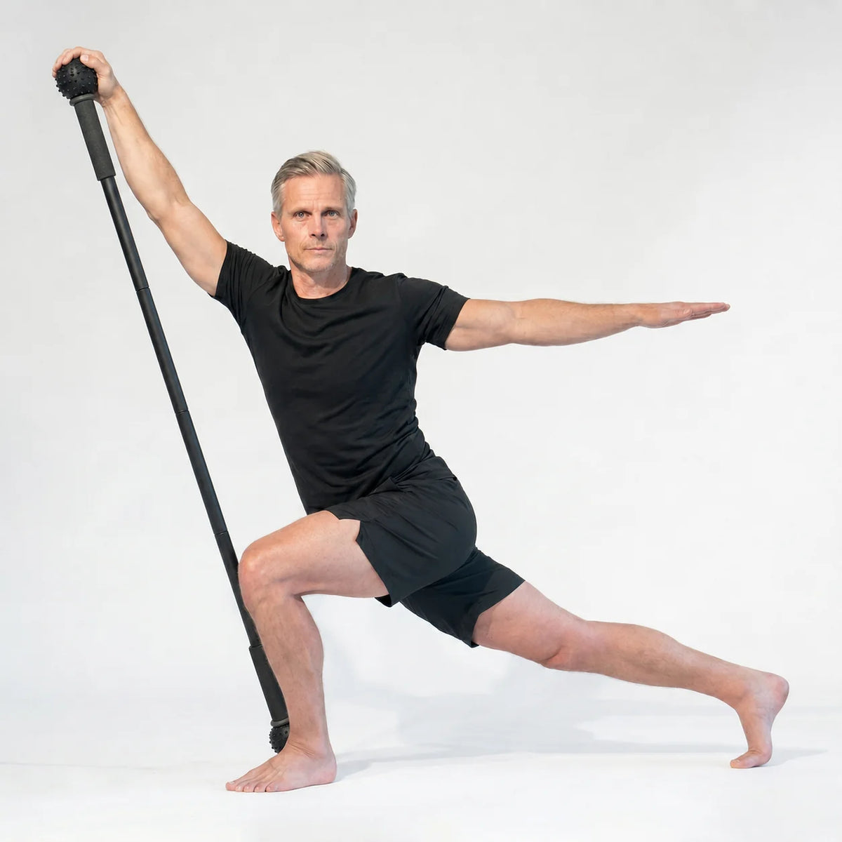 Verta Mobility Stick